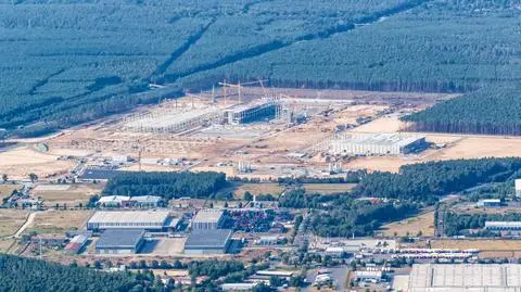 Tesla musi wstrzymać budowę fabryki. Przez hibernujące węże