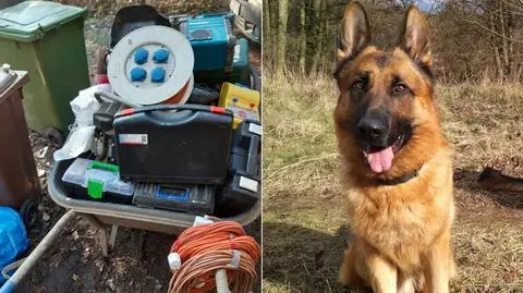 Ze stadniny zniknął cenny sprzęt. Pies doprowadził policjantów do miejsca, gdzie złodziej ukrył łupy