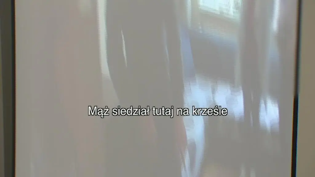 Nagranie z eksperymentu procesowego