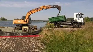 Od piątku do niedzieli usunięto w Krajniku Dolnym około 20 ton śniętych ryb