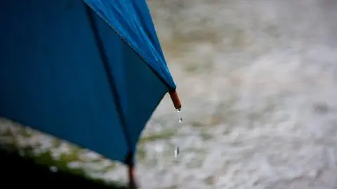 Deszcz, pada, parasol