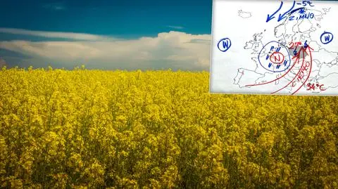 Aura jak na przełomie wiosny i lata. To niezbyt dobra wiadomość