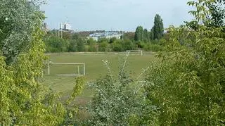 Stadion im