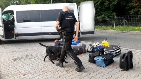 Hunter wywąchał marihuanę i haszysz