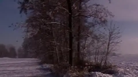 zima 1