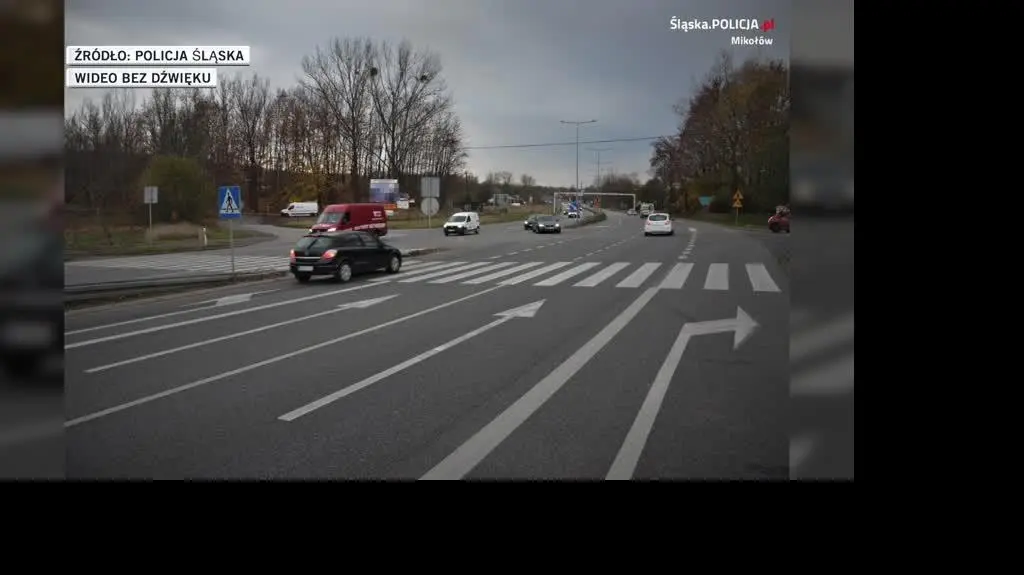 Policja Śląska