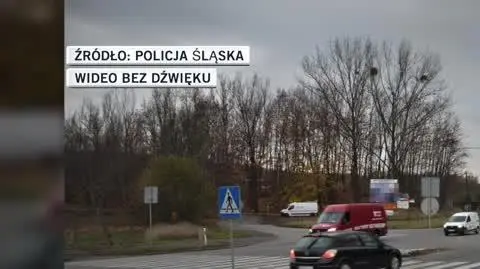 Policja Śląska