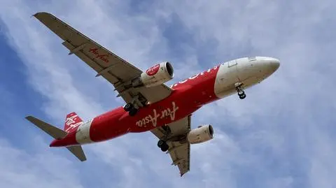 Węża znaleziono na pokładzie samolotu linii AirAsia