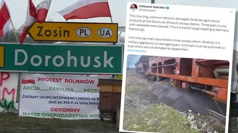 Wysypany rzepak na granicy w Dorohusku