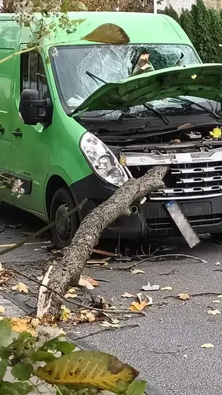 Wrocław - konar spadł na busa, ranny kierowca, wybita szyba