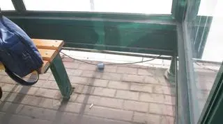 Jak twierdzi @Nishio, kablem chętnie bawią się dzieci