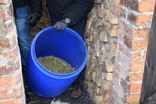Marihuana była w beczkach na kiszoną kapustę