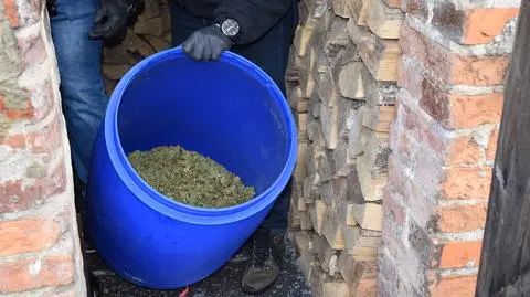 Marihuana była w beczkach na kiszoną kapustę