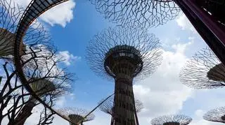 Gardens by the Bay