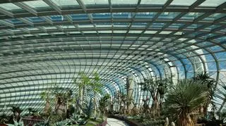 Gardens by the Bay