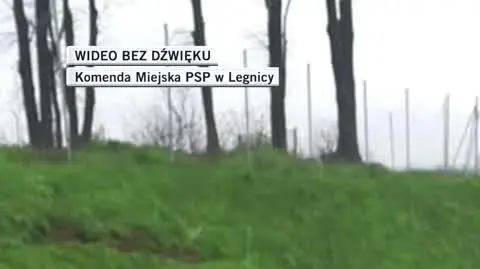 slideshow dla Łukasza