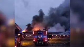 Pożar hali na fermie świń. Ogień zajął cały budynek