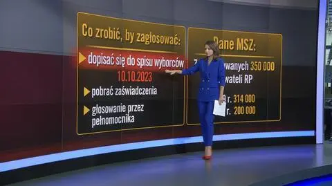 Kończy się czas na dopisanie do spisu wyborców. Jak zagłosować za granicą
