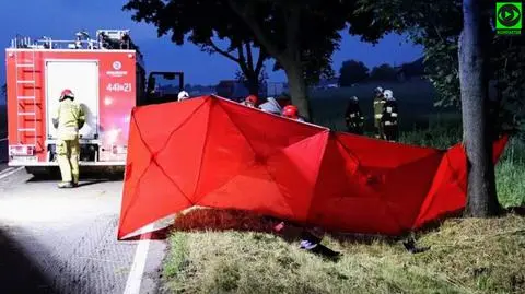 Na łuku wypadł z drogi i uderzył w drzewo, kierowca nie żyje