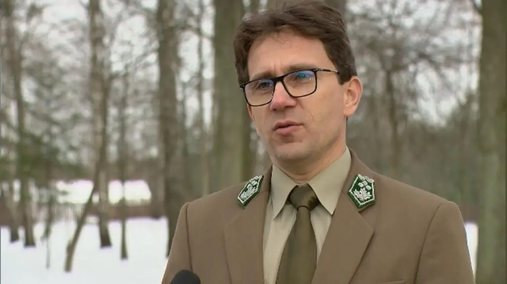 Nadleśniczy z Białowieży o niszczeniu ambon dla myśliwych