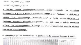 Fragment opinii biegłego