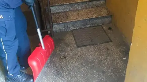 "Niebezpieczny pająk" na klatce schodowej. Zgłoszenie postawiło na nogi strażników miejskich