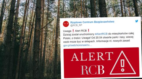 RCB przypomina o otwarciu lasów i parków. Jak być bezpiecznym w lesie