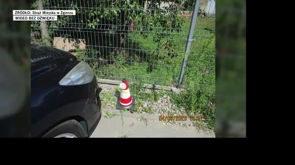 Straż Miejska w Zgierzu