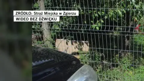 Straż Miejska w Zgierzu