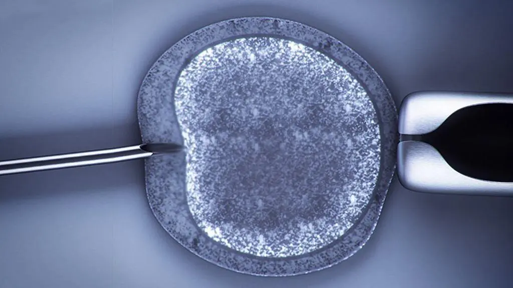 Pożegnanie z in vitro