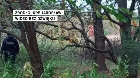 KPP Jarosław