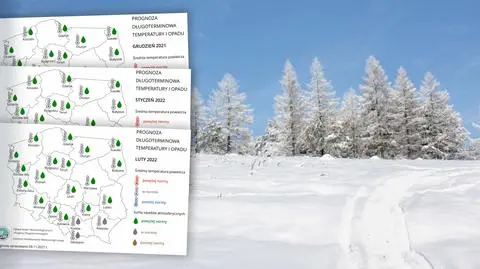 Eksperymentalna prognoza pogody na zimę