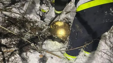 Pies przez kilkanaście godzin był zakleszczony w lisiej norze