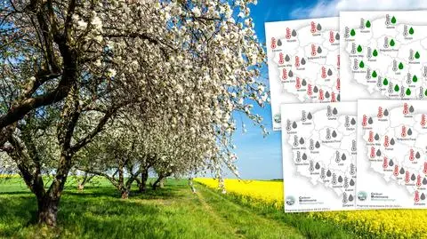meteo mapki sklej