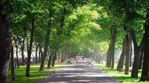 shutterstock_124702723