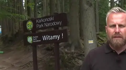 Akcje ratunkowe w Karkonoszach