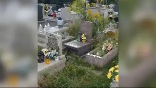 Nagrobki oznaczone do likwidacji na cmentarzu w Sosnowcu