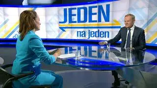 Donald Tusk w "Jeden na jeden"
