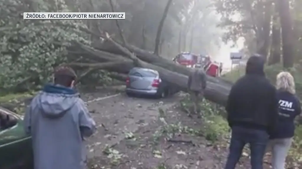 W nawałnicy dąb spadł na jadące auto