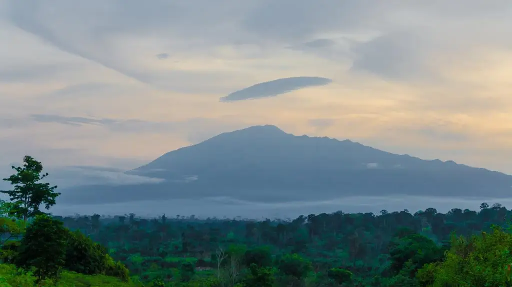 Mount Cameroon