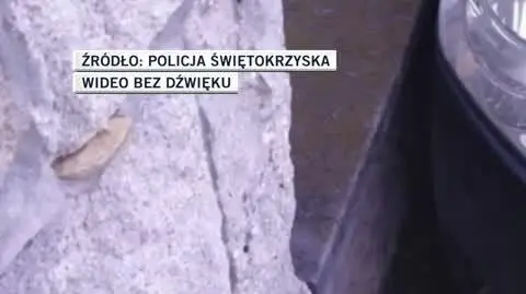 slideshow traktorzysta 