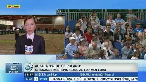 15 koni nie udało się sprzedać. Zamieszanie z jedną z aukcji  na "Pride of Poland"