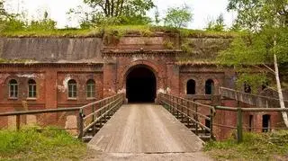 Fort III na terenie Nowego Zoo