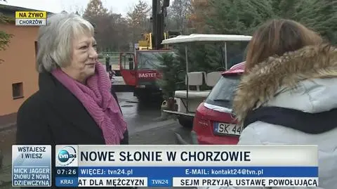 Rozładunek słoni