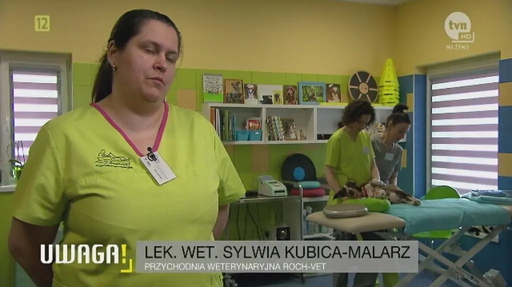 Pomoc dla skatowanego psa Fijo