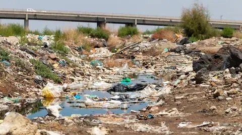 Przestępstwa przeciwko środowisku: jak ich przybywa, które dominują