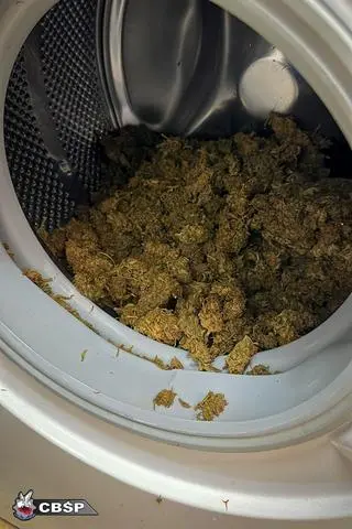 W trakcie akcji CBŚP zabezpieczono narkotyki