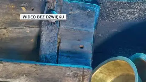 dla Oli slajdszol