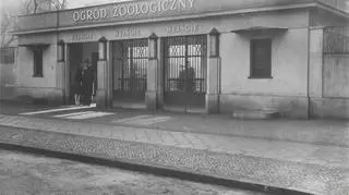 Wejście do zoo w latach trzydziestych