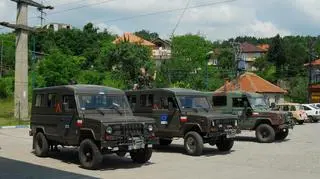 Tarpany Honkery w Bośni i Hercegowinie